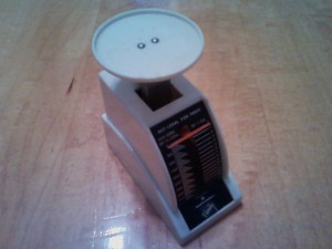 Food Scale