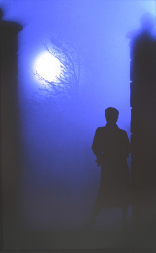 Waiting-in-the-Moonlight (2)